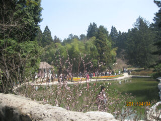 湖口县
