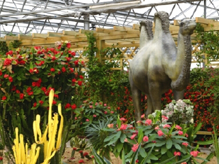 莱芜雪野农博园