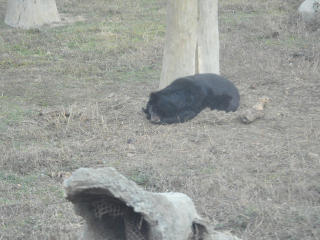 秦岭野生动物园