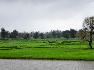 马哈拉施特拉邦