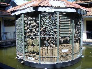 柬埔寨地雷博物馆