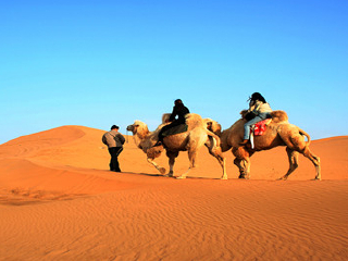 大沙头生态文化旅游区