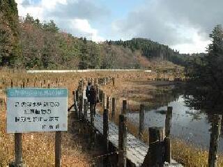 樫原湿原
