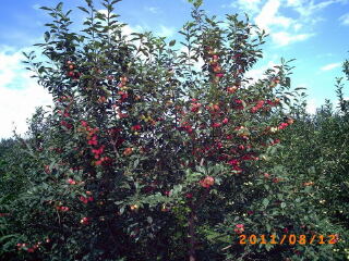 花果山神秘谷风景区
