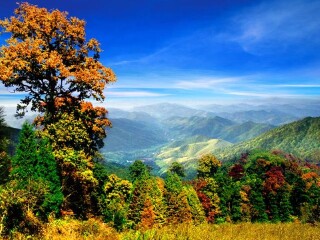 杭州临安天目山（西天目山）