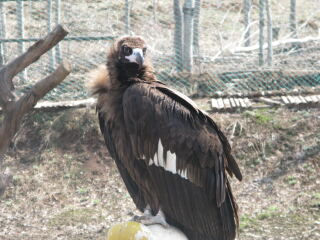 花果山神秘谷风景区