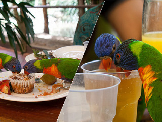 道格拉斯港野生动物栖息地