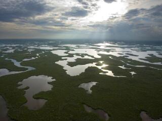 大沼泽地国家公园