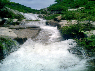 银石滩森林公园