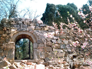 牛山国家森林公园