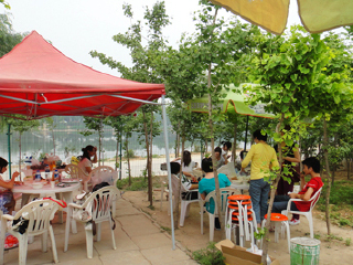 上庄银杏湾农家乐