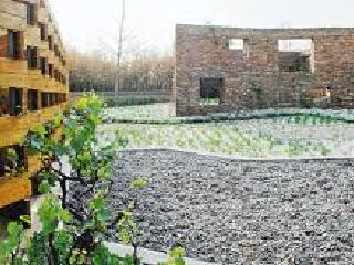 世园会香港大学展园