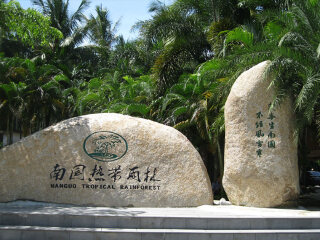 兴隆南国热带雨林