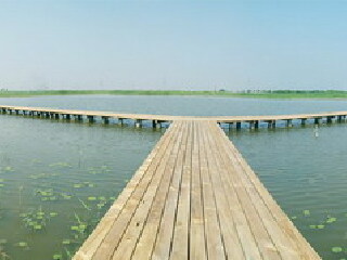 杭州湾湿地公园
