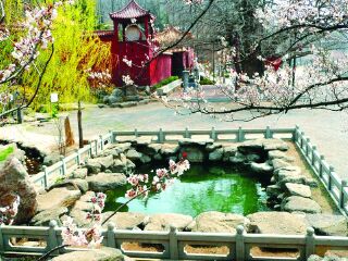 城顶山生态风景区