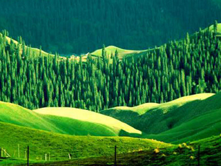 板房沟科技示范基地