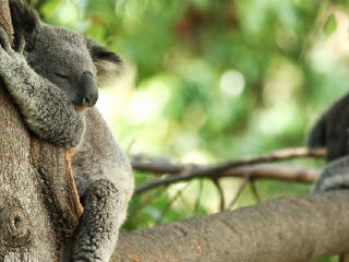 菲利普自然公园丘吉尔农场