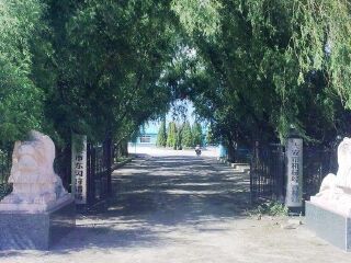 东沟湿地狩猎场