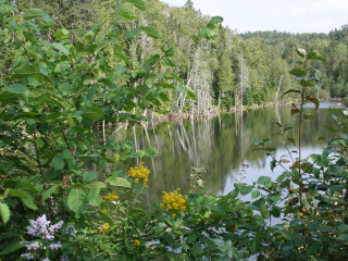 舒格洛夫省级公园