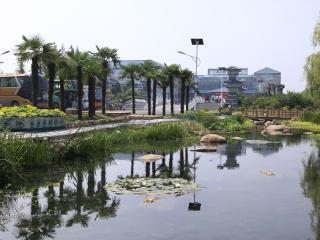 莲花温泉水城