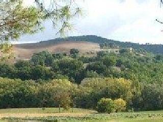 乌尔比诺大教堂