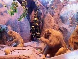 福井文化历史博物馆