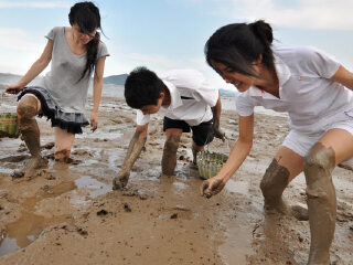 台州三门蛇蟠岛