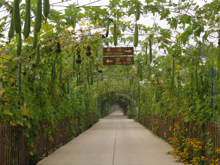 鼎翔生态旅游区