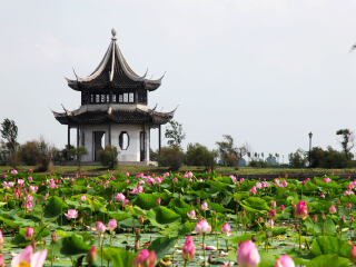龙凤公园