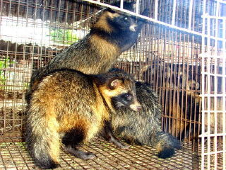 花果山神秘谷风景区