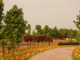 重庆花样龙水湖