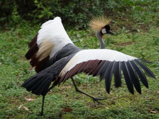 杭州野生动物世界