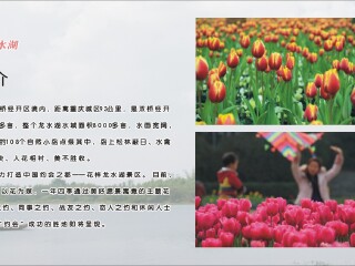 重庆花样龙水湖