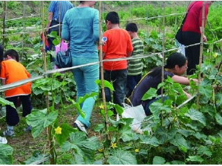 平湖市澳多奇农庄