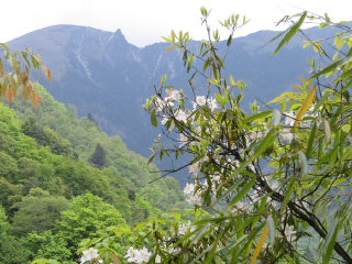 片口自然保护区