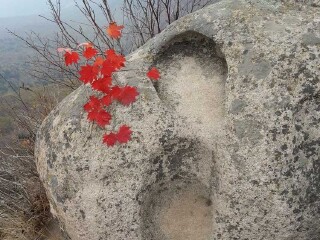 岗山国家森林公园