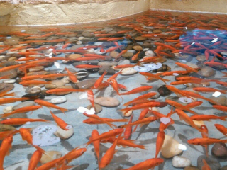 北京童梦奇境（回龙观店）