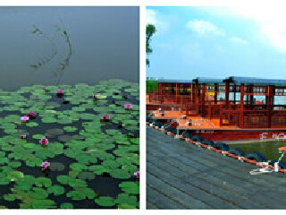 杭州湾湿地公园