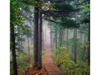 梅花山森林公园
