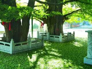 城顶山生态风景区