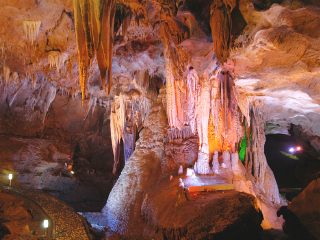 稻源旅游度假区