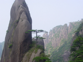 聪明泉