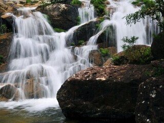 东兴屏峰雨林公园
