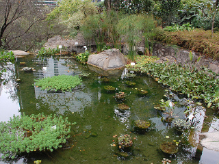 香港仔郊野公园