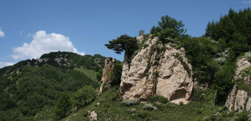 靈壽縣圖片_靈壽縣旅遊圖片_靈壽縣旅遊景點圖片大全_途牛