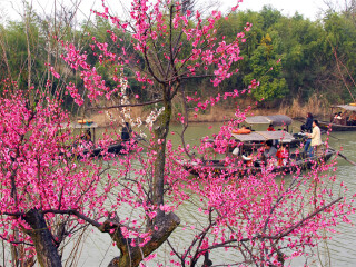 西溪国家湿地公园