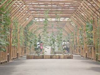 北京芦西园体验观光园