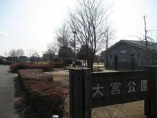 埼玉县大宫公园