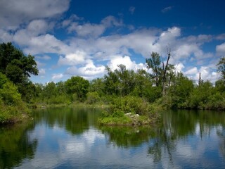 英格尔伍德鸟类保护区