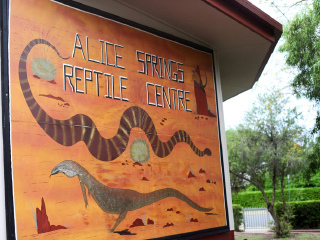 艾丽丝泉爬行动物中心